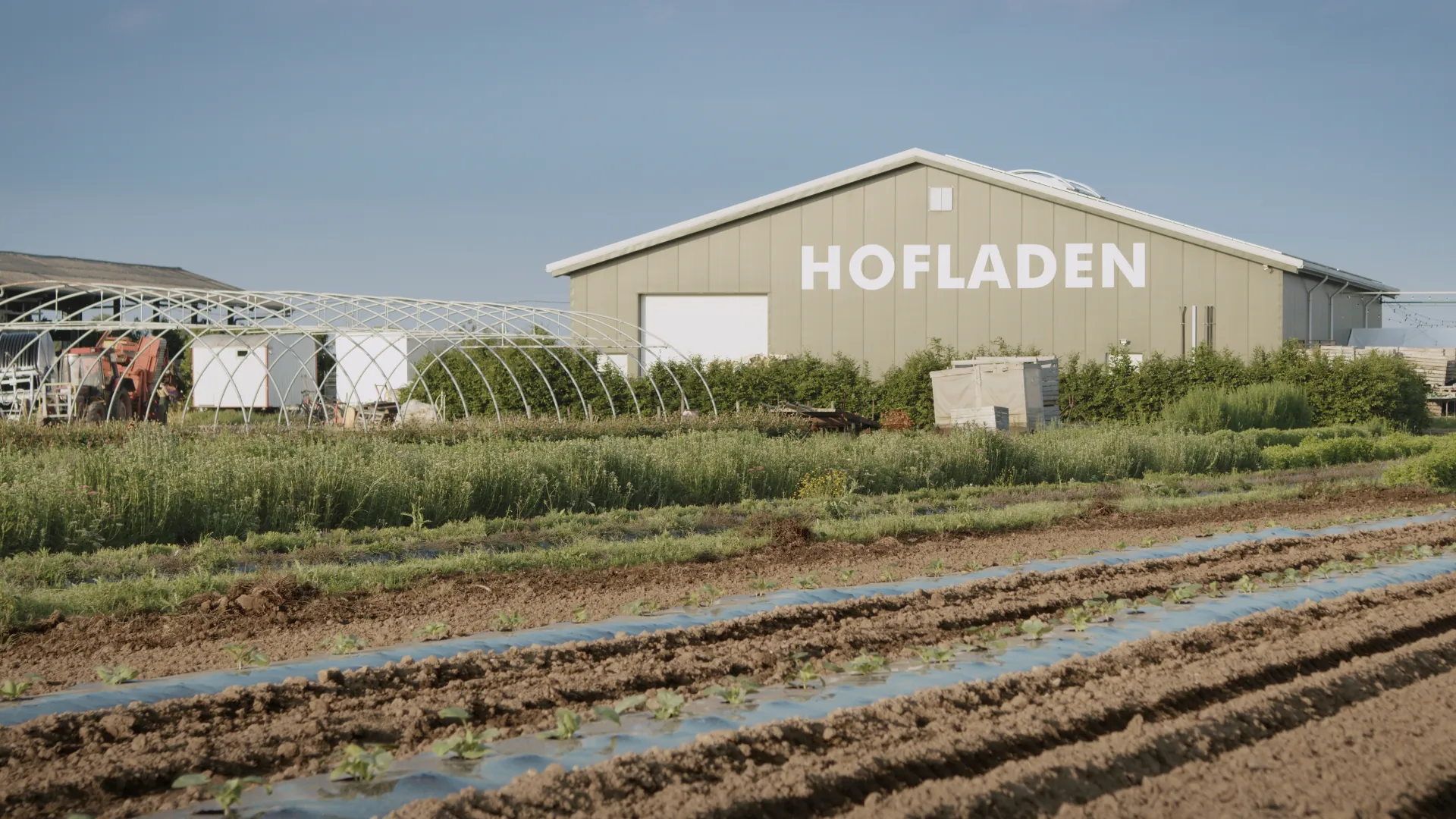 Filmstill aus einer früheren Arbeit
